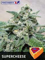 Supercheese strain photo