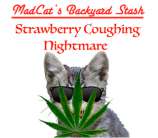 Strawberry Coughing Nightmare strain photo