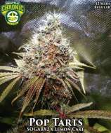 Pop Tarts strain photo