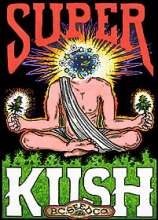 Super Kush strain photo