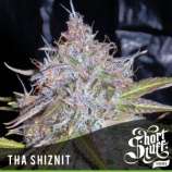 Tha Shiznit strain photo