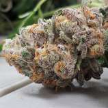 Jelly Breath strain photo