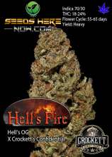 Hell's Fire strain photo