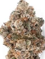 Sunset Sherbert strain photo