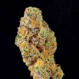 Bat Breath strain photo