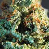 Silver Haze strain photo