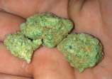 Michael Phelps OG strain photo