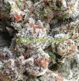 Tire Fire strain photo