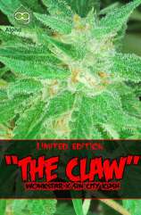 The Claw strain photo