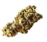 Pineapple Kush strain photo