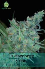 Heisenberg Kush strain photo