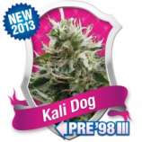 Kali Dog strain photo