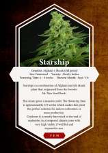 Starship strain photo
