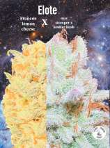 Elote strain photo