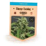 Exodus Cheese strain photo