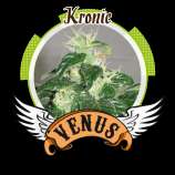 Venus Genetics - Kronic strain photo