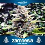 Amnesia Skunk Automatic strain photo