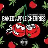 Baked Apple Cherries strain photo