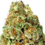Turbo Bud strain photo