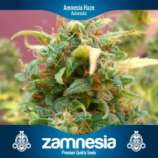 Amnesia Haze Automatic strain photo