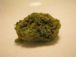 Gummy Bear OG strain photo
