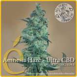 Élite Seeds - Llimonet Haze Ultra CBD strain photo