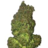 Heavyweight Seeds - Fruit Punch Auto strain photo
