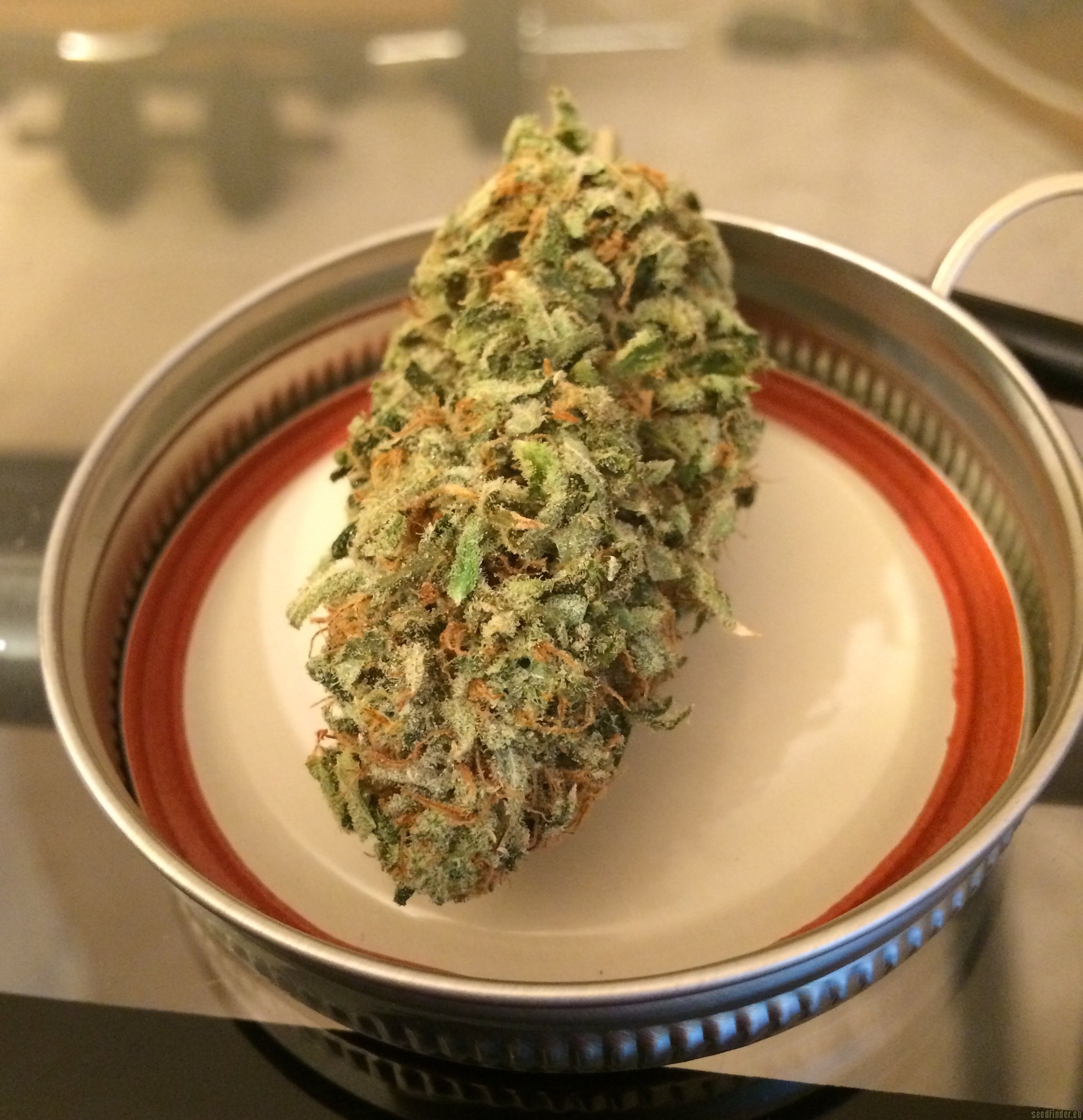 Dumpster strain photo