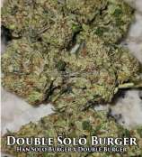 Double Solo Burger strain photo
