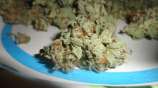 Mail Order Bride strain photo