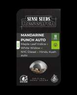 Mandarine Punch Automatic strain photo