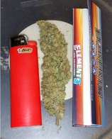 Atlantis strain photo