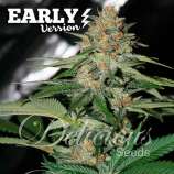 Delicious Candy Fast Version strain photo