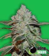 Atomic strain photo