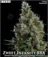 Zweet Inzanity RBX strain photo