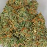 Blue Dream strain photo