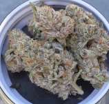 Johnny Utah strain photo