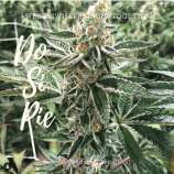 Do-Si Pie strain photo