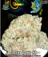 Red Pop strain photo
