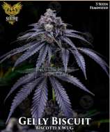 Gelly Biscuit strain photo