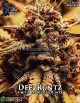 DeezRuntz strain photo
