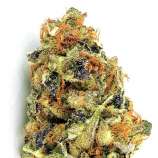 K.O Kush strain photo