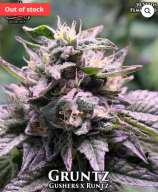 Gruntz strain photo