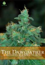 The Dawgfather strain photo