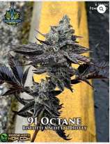 91 Octane strain photo