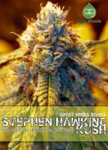 Alphakronik Genes - Stephen Hawking Kush strain photo