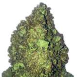 Short & Sweet Auto strain photo