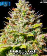 Gorilla Grip strain photo