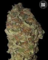 Green Candy strain photo