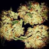 710 Mango strain photo
